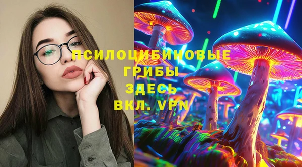 гашик Арсеньев