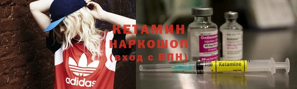 гашик Арсеньев