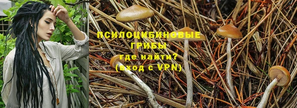 ALPHA PVP Армянск